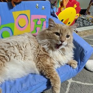 Meet your Posher, Jane